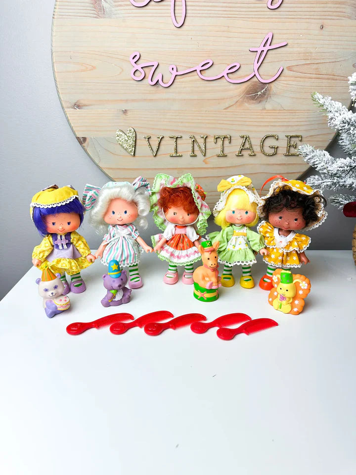 Complete Vintage Strawberry Shortcake Collection (1983–1985) – Rare Kenner & Estrela Dolls, Party Pleasers, Plush Pets, Miniatures & More