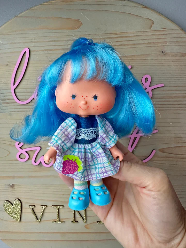 Complete Vintage Strawberry Shortcake Collection (1983–1985) – Rare Kenner & Estrela Dolls, Party Pleasers, Plush Pets, Miniatures & More