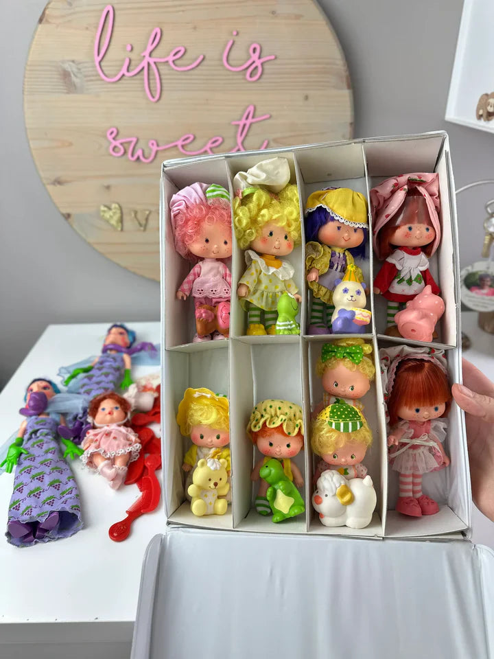 Complete Vintage Strawberry Shortcake Collection (1983–1985) – Rare Kenner & Estrela Dolls, Party Pleasers, Plush Pets, Miniatures & More
