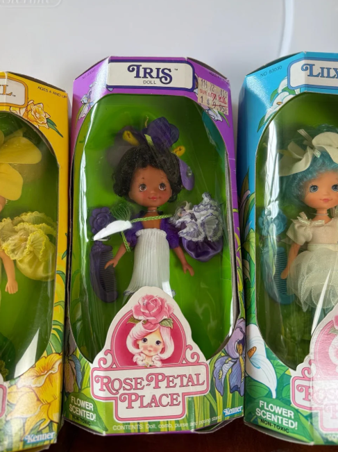 Complete 1984 Rose Petal Place Collection – Set of 6 Kenner Dolls + Playsets & Accessories – Vintage Floral Doll Lot