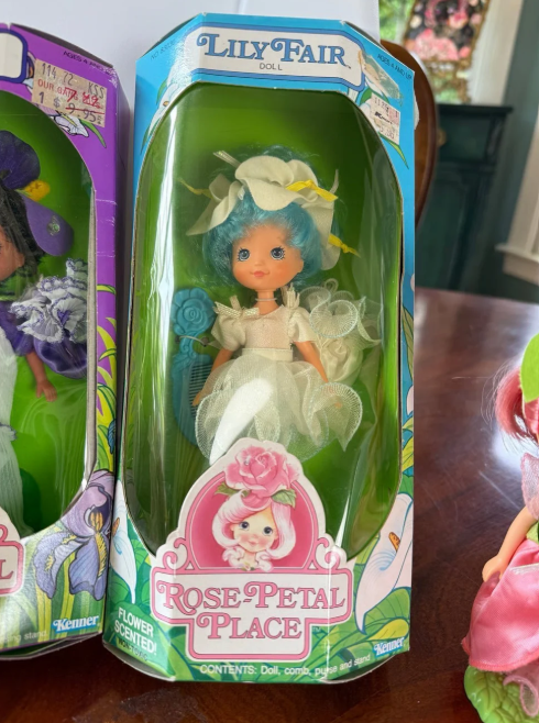 Complete 1984 Rose Petal Place Collection – Set of 6 Kenner Dolls + Playsets & Accessories – Vintage Floral Doll Lot