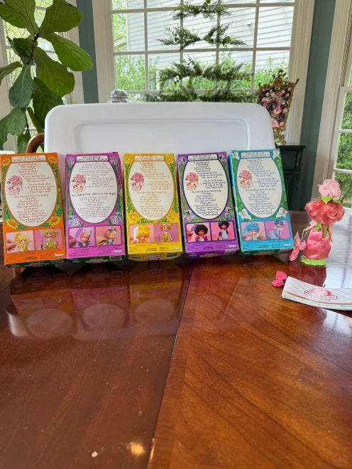 Complete 1984 Rose Petal Place Collection – Set of 6 Kenner Dolls + Playsets & Accessories – Vintage Floral Doll Lot